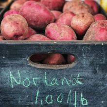 One of the garden's most versatile gifts is the humble potato. Mash them, bake them, french fry them, or cover them with cheese; what's not to love! If you've been collecting #Flok punches then 5lbs of these locally grown beauties can be yours for $0 from