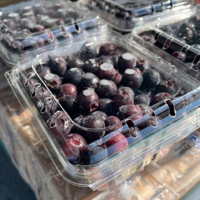 Saskatoon Berries