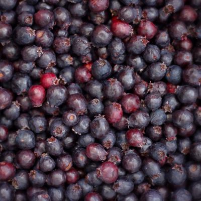 Loon Creek Saskatoons