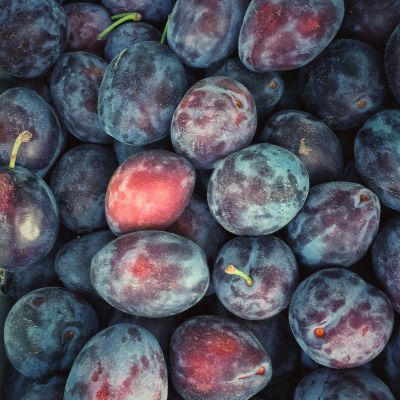 Prune Plums