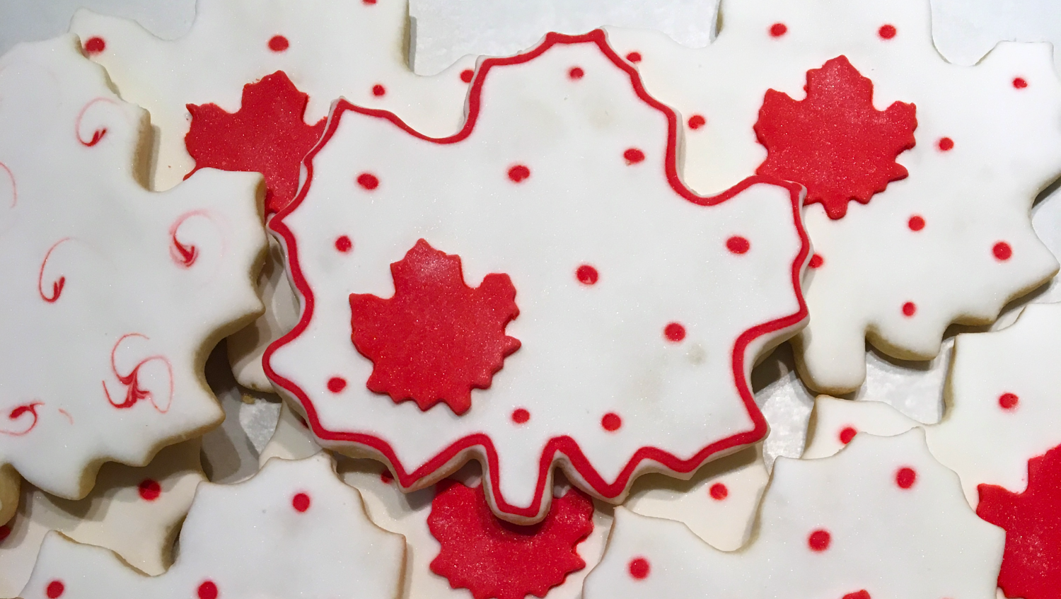 Celebrate Canada Day long weekend at the RFM!