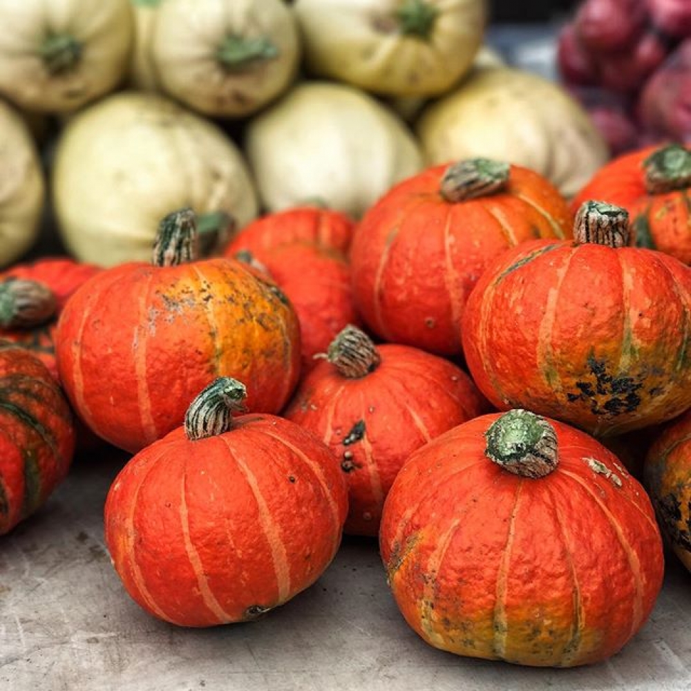 Fall Indoor Market Round-up