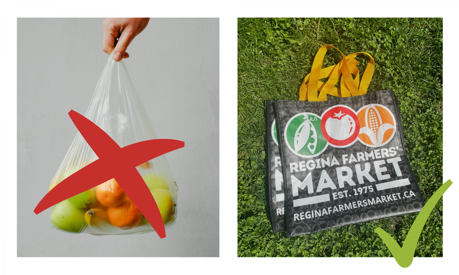 RFM's Response to the Plastic Bag Ban!