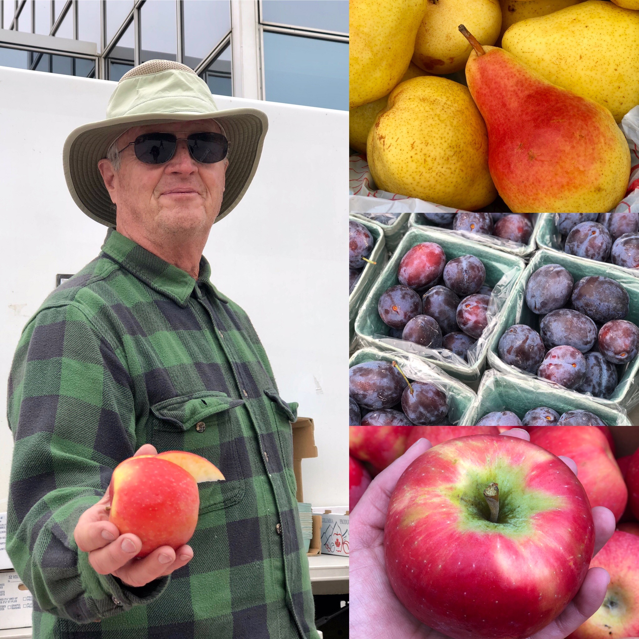 This Week at the RFM (Wed Sep 25 & Sat Sep 28) - Image 3