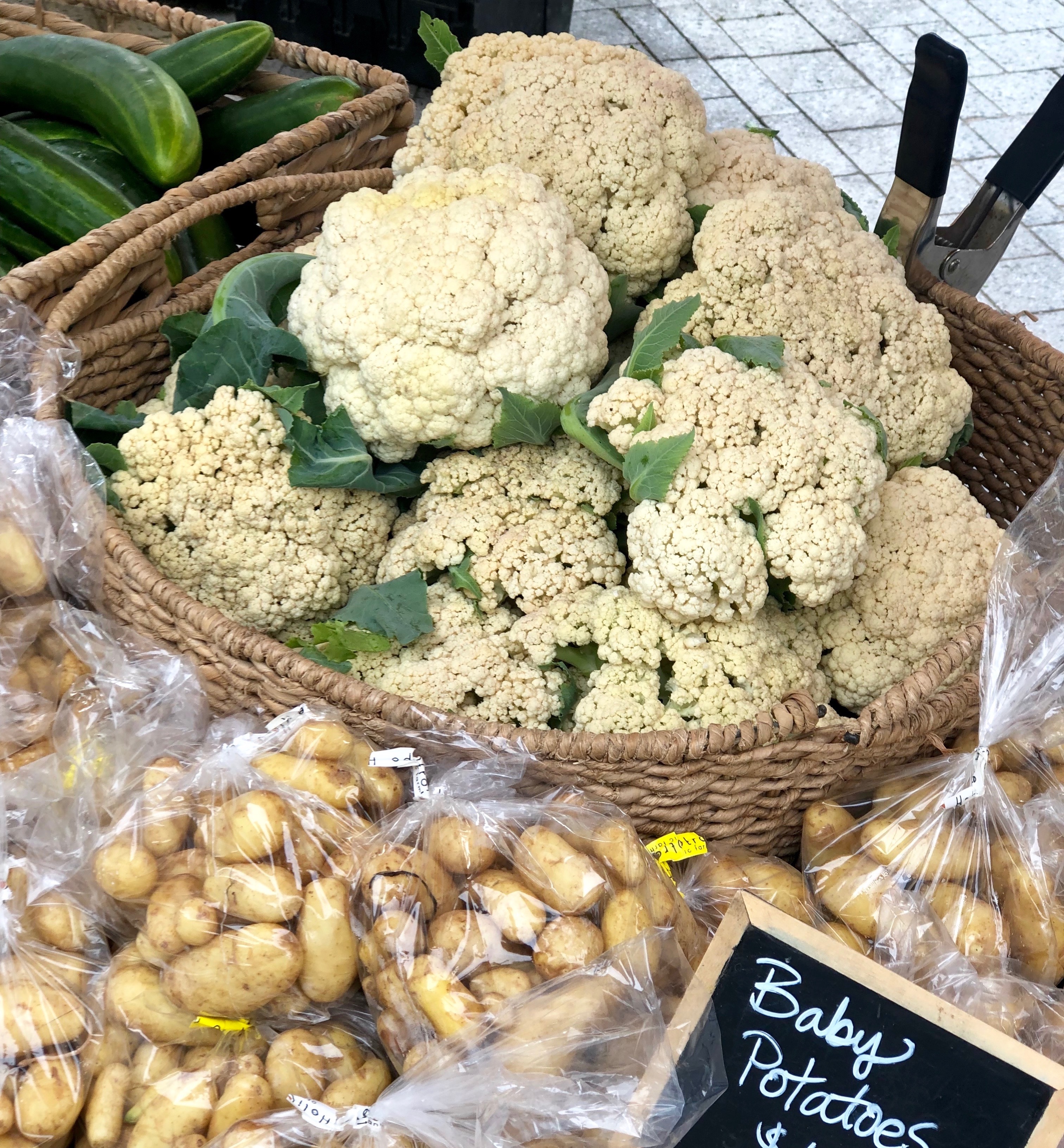 This Week at the RFM (Wed July 10, Thurs July 11 & Sat July 13) - Image 4