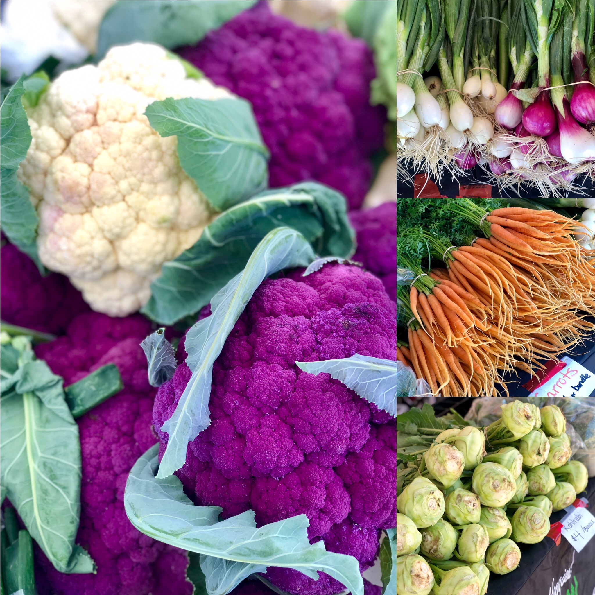 This Week at the RFM (Wed July 17, Thurs July 18 & Sat July 20) - Image 1
