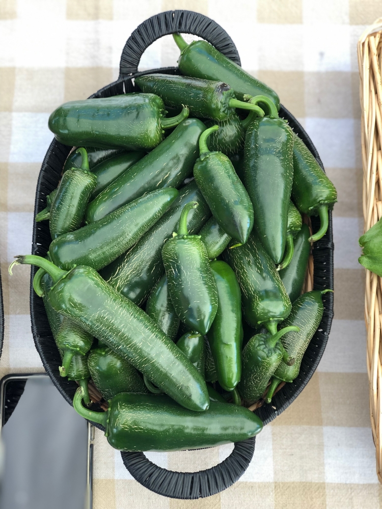 This Week at the RFM (Wed July 31, Thurs Aug 1 & Sat Aug 3)