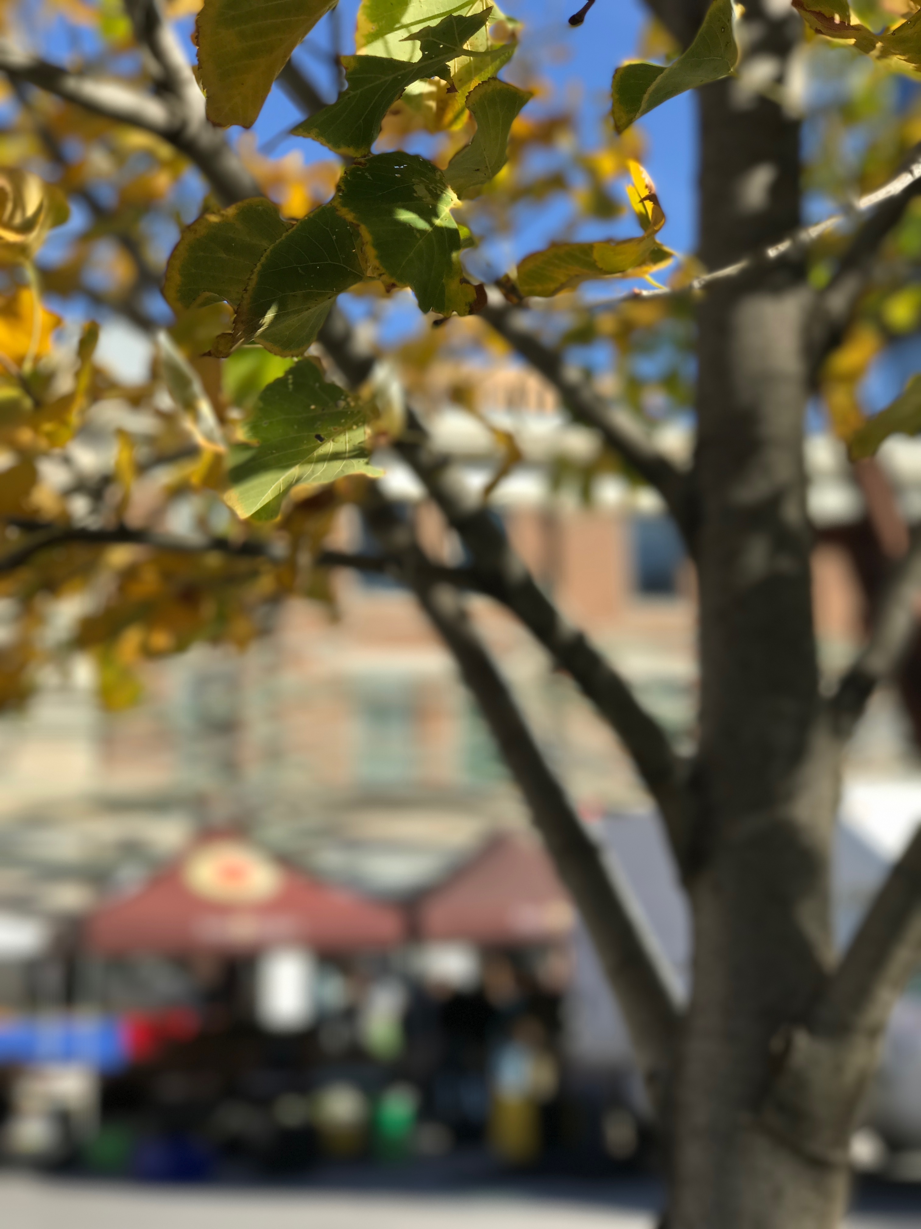 This Week At The RFM (Wed Sep 11 & Sat Sep 14) - Image 5
