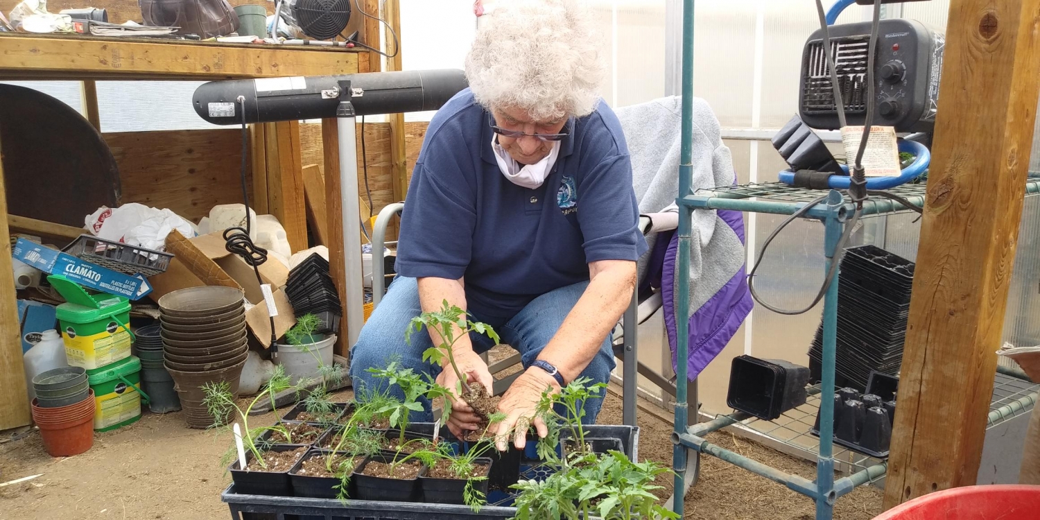 Vendor Spotlight: Fishley Farms