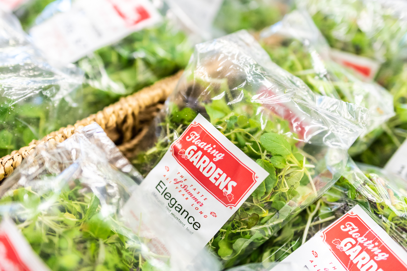 Winter Indoor Farmers' Market