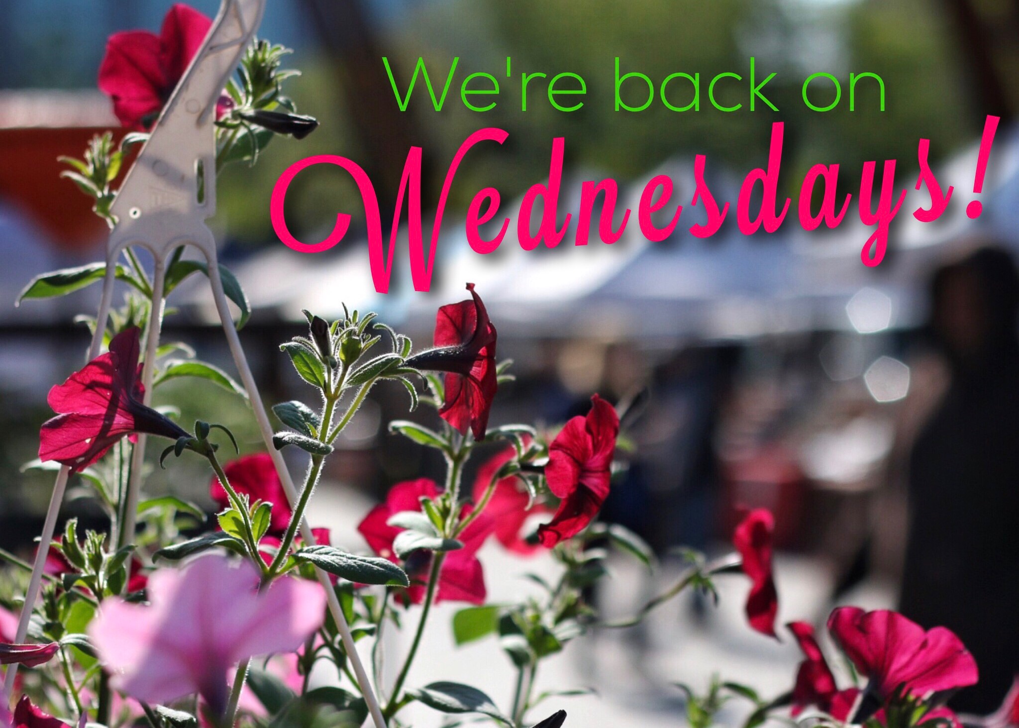 First Wed. Market!