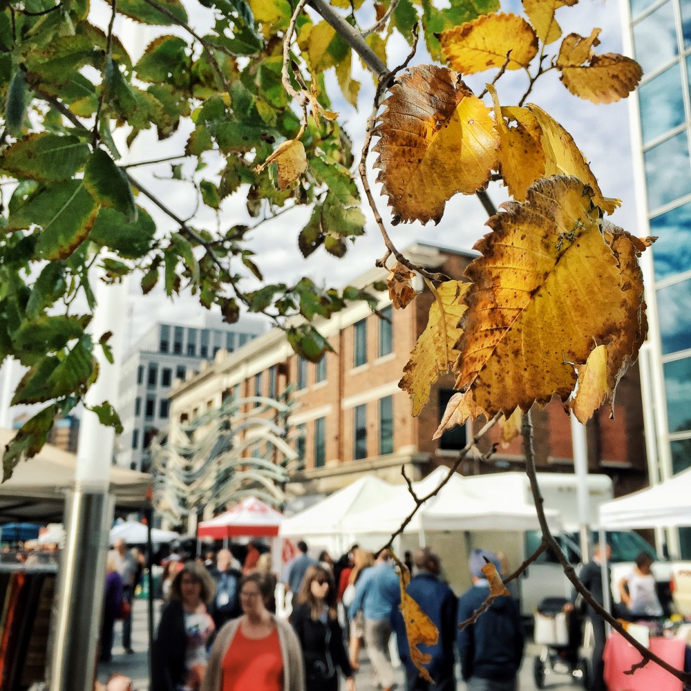 Last Wednesday Market!