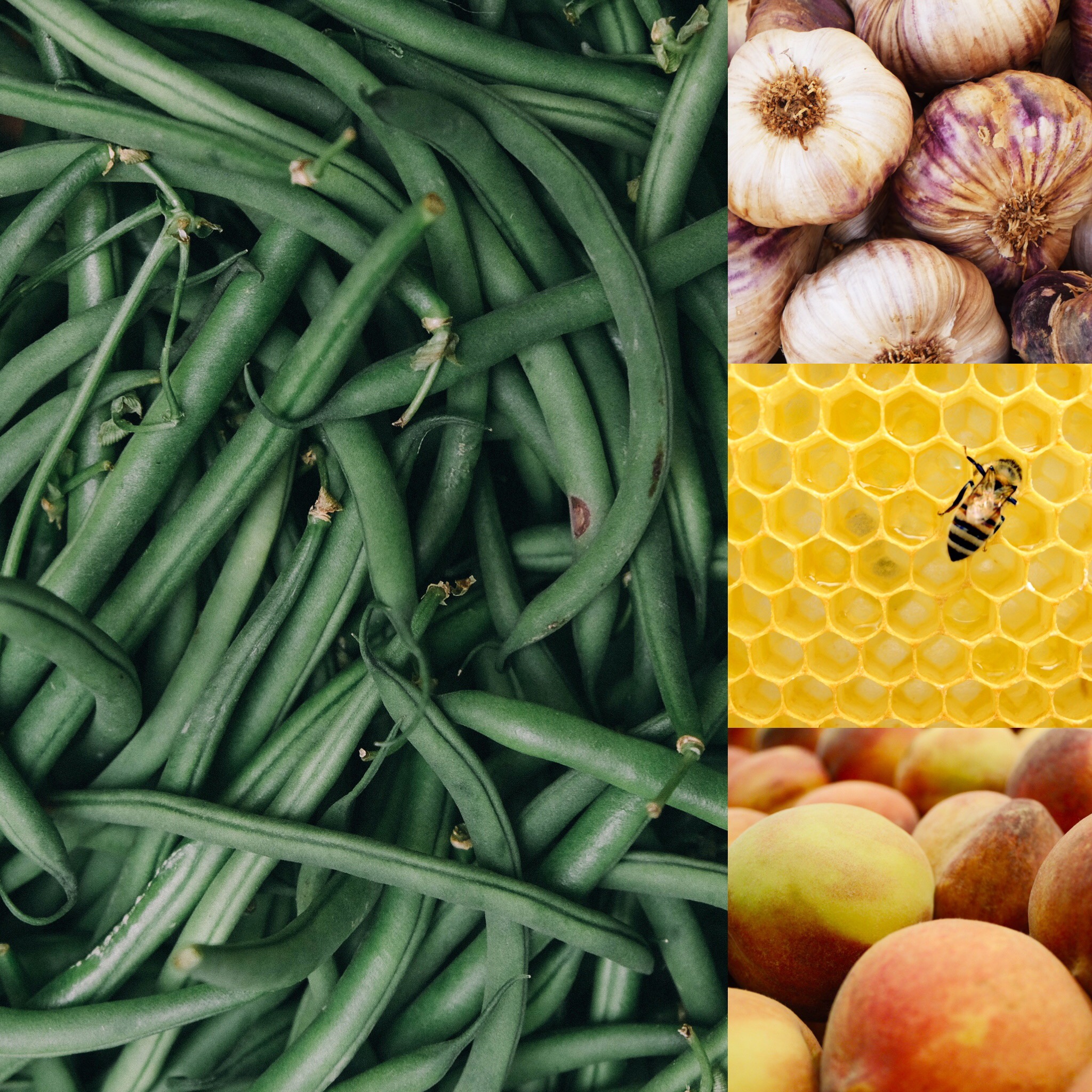 Outdoor Farmers' Market