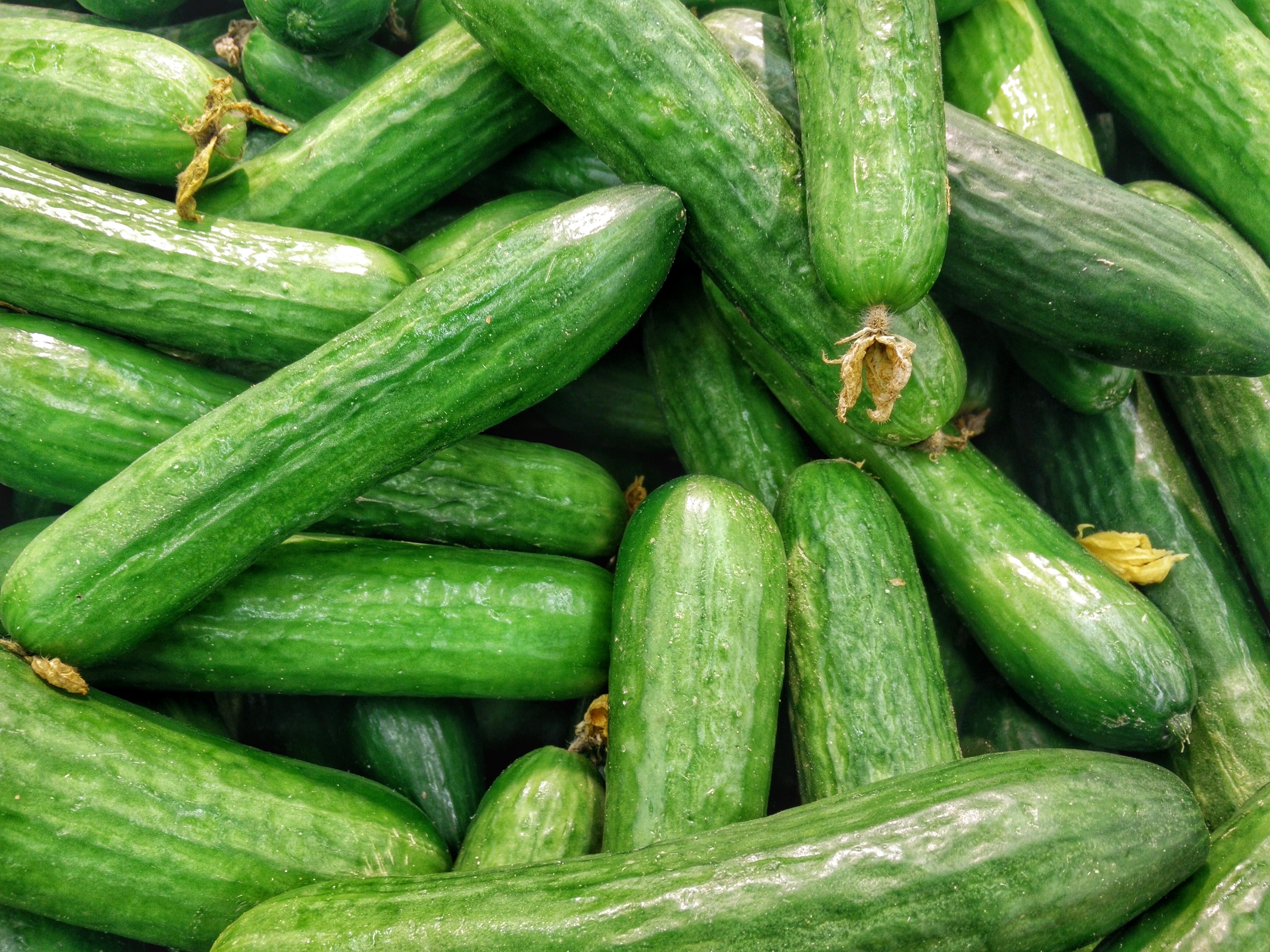 Outdoor Farmers' Market