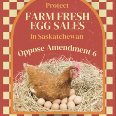 Protecting Local Food: Why Proposed Changes to Saskatchewan’s Food Safety Regulations Threaten Small Farmers and Consumers