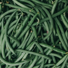 This Week at the RFM (Wed July 24, Thurs July 25 & Sat Jul 27)