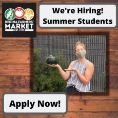 We're Hiring! Summer Students