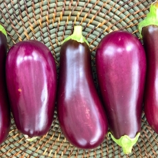 This Week at the RFM (Wed June 26 & Sat June 29)