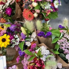 This Week at the RFM (Wed Aug 7, Thurs Aug 8 & Sat Aug 10)