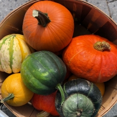 This Week at the RFM (Wed Sep 25 & Sat Sep 28)