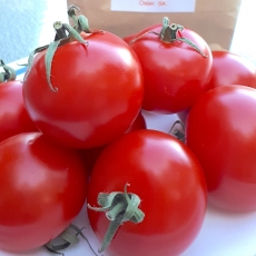 This Week at RFM: June 27, 2020