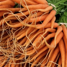 This Week at the RFM (Wed June 19 & Sat June 22)