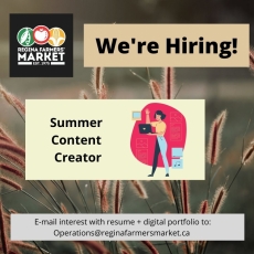 We're Hiring! Summer Content Creator