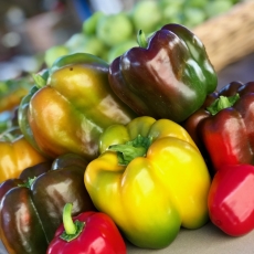 This Week At The RFM (Wed Sep 11 & Sat Sep 14)