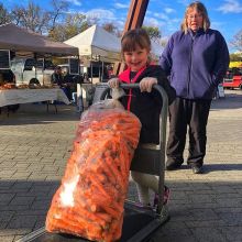 How to eat local through the Saskatchewan winter? Buy produce that keeps... lots of it!
<
>
Our friends from Southland Colony can hook you up. They are joining us at market today with 50 lb bags of Sk-grown carrots! <
>
FALL INDOOR MARKETS • Saturdays O
